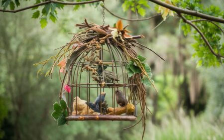 Picture of 9 Stunning DIY Bird Cage Decoration Ideas You’ll Love! - WillyHomes