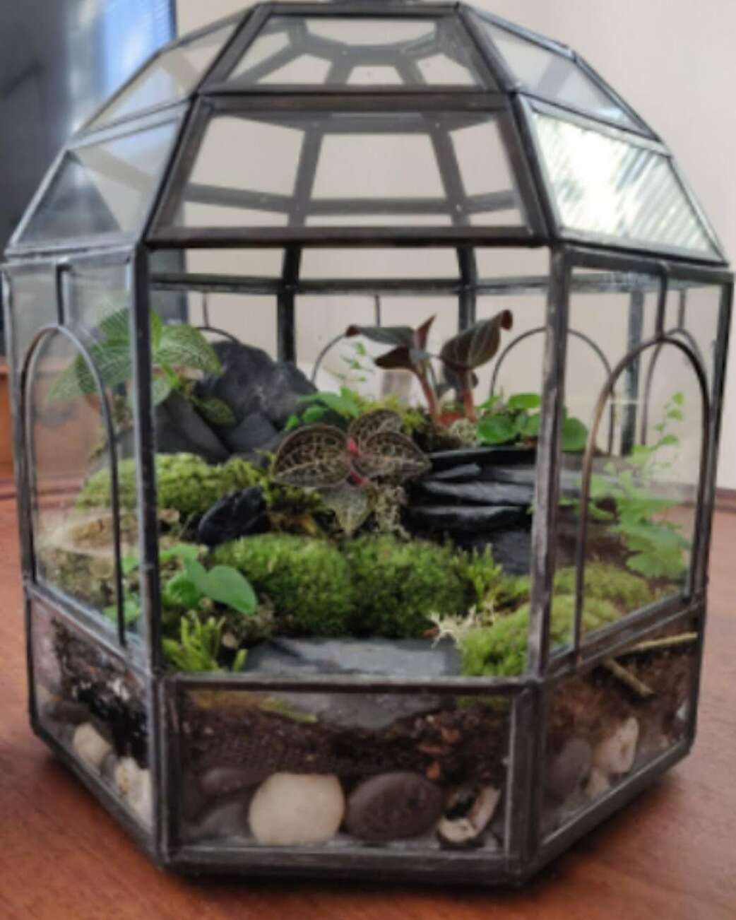 Botanical Terrarium