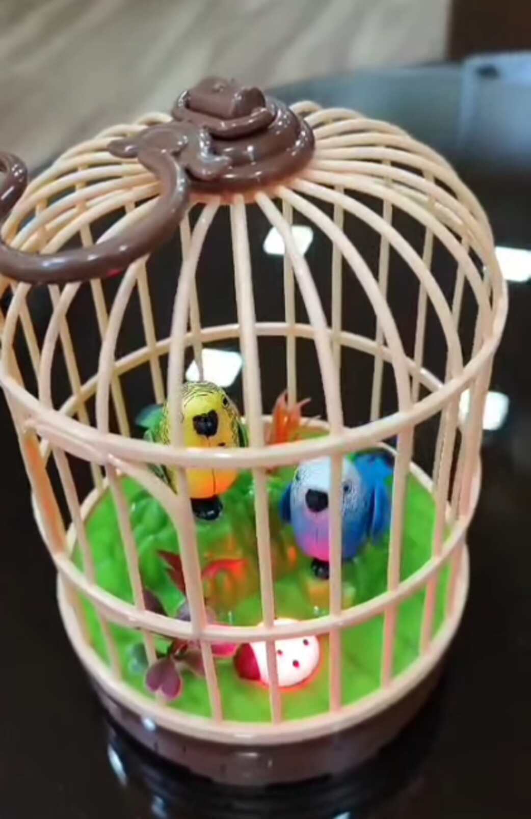 Whimsical Bird Cage