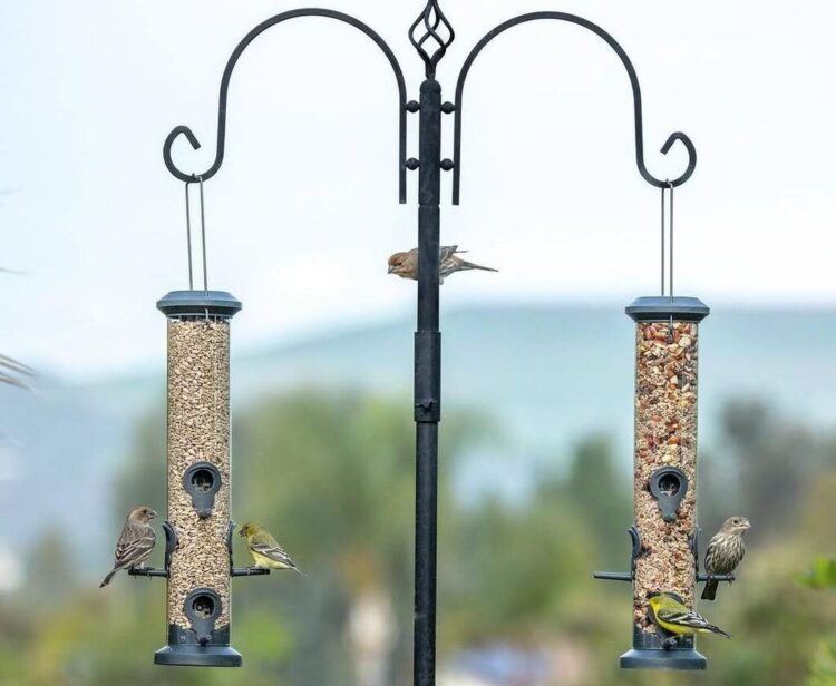 Creative DIY Bird Feeder Pole