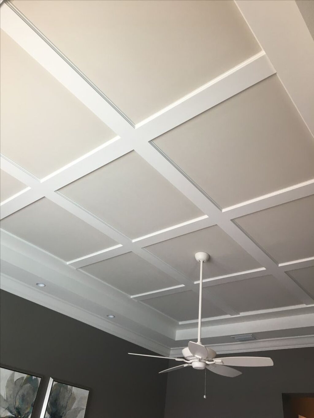 Drop Ceiling