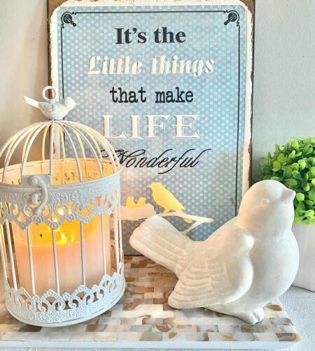 Illustration of Bird Cage Decor For Homes With Joy