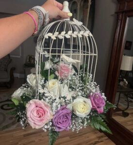 Snapshot of Small Pet Cage Decoration Ideas With Adjoyser Cartun Rise Plants