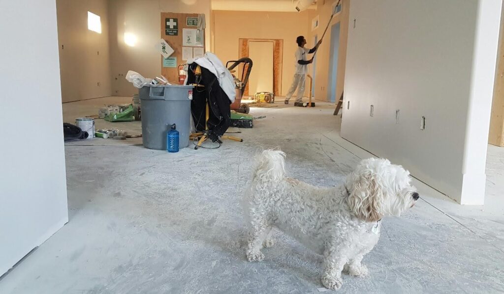 How Modern Home Remodeling Can Transform the Way You Live Modern Home Remodeling