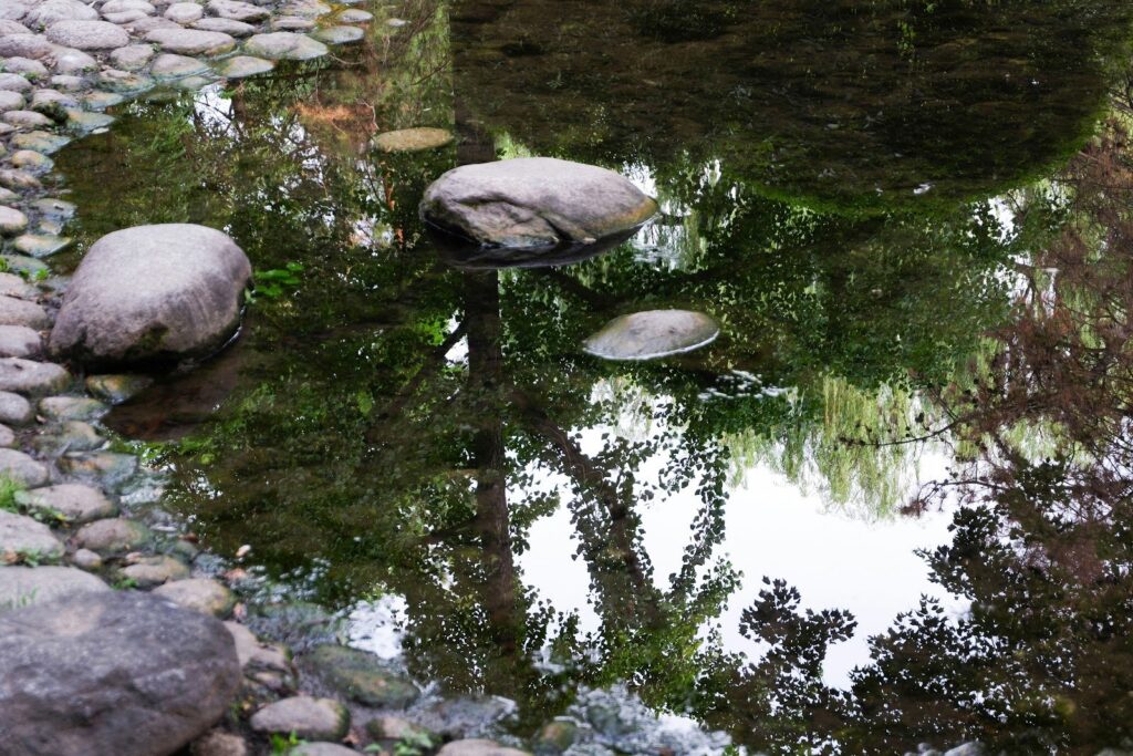 How to Protect Your Pond This Winter (Every Canadian Pond Owner’s Guideline) Protect Your Pond