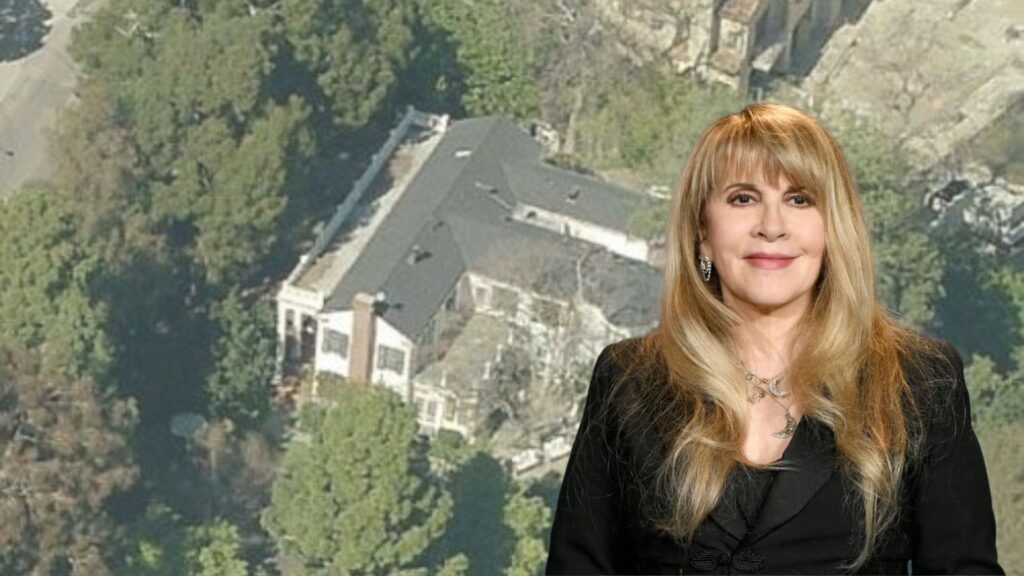 Stevie Nicks Live