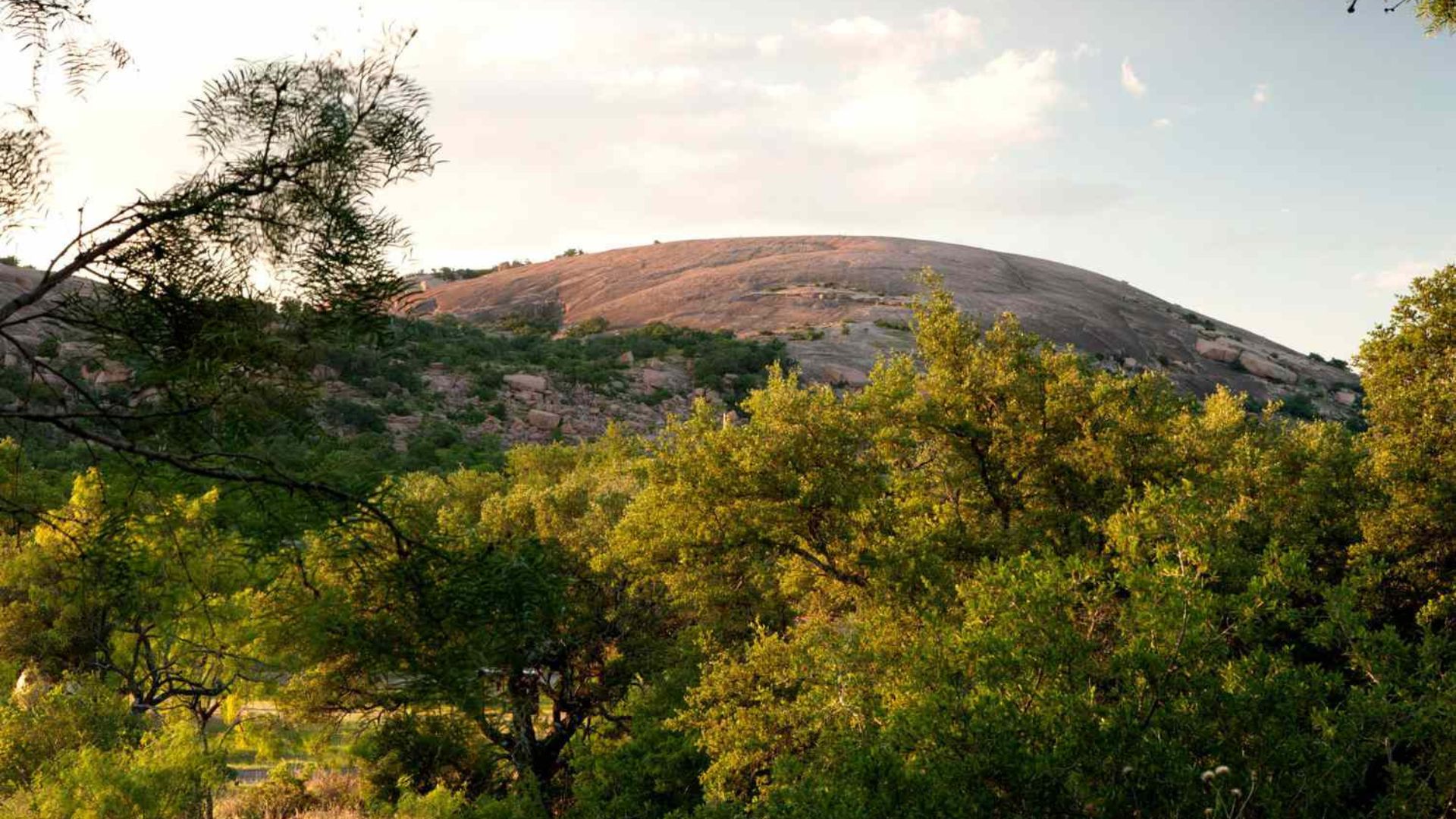 What Makes the Texas Hill