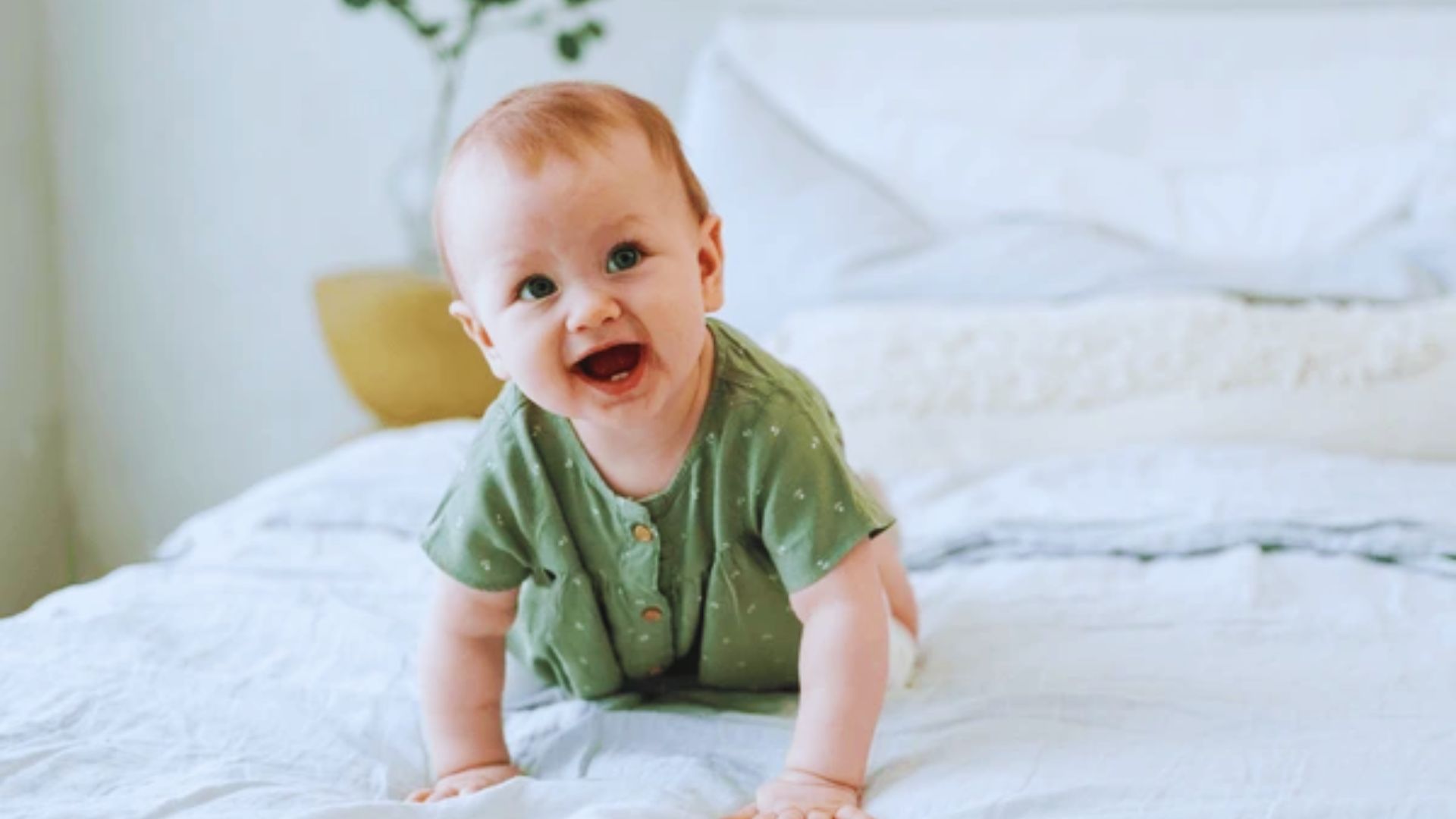 Nature-Inspired Middle Names for Evelyn