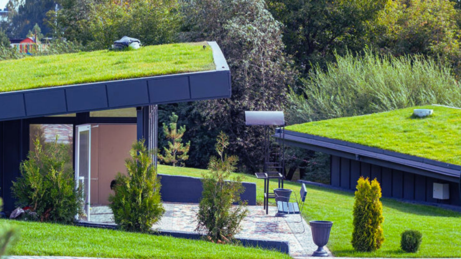 Green Roofing