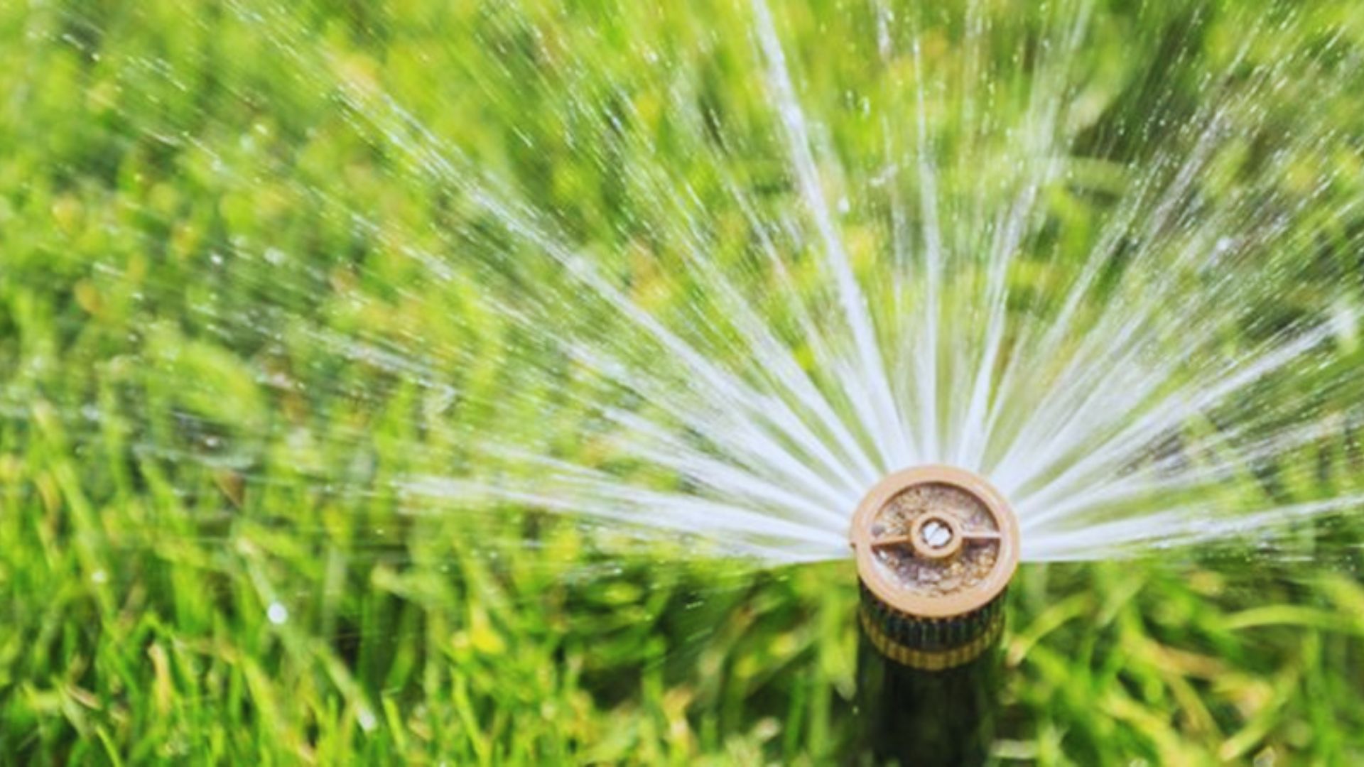 Seasonal Watering Adjustments