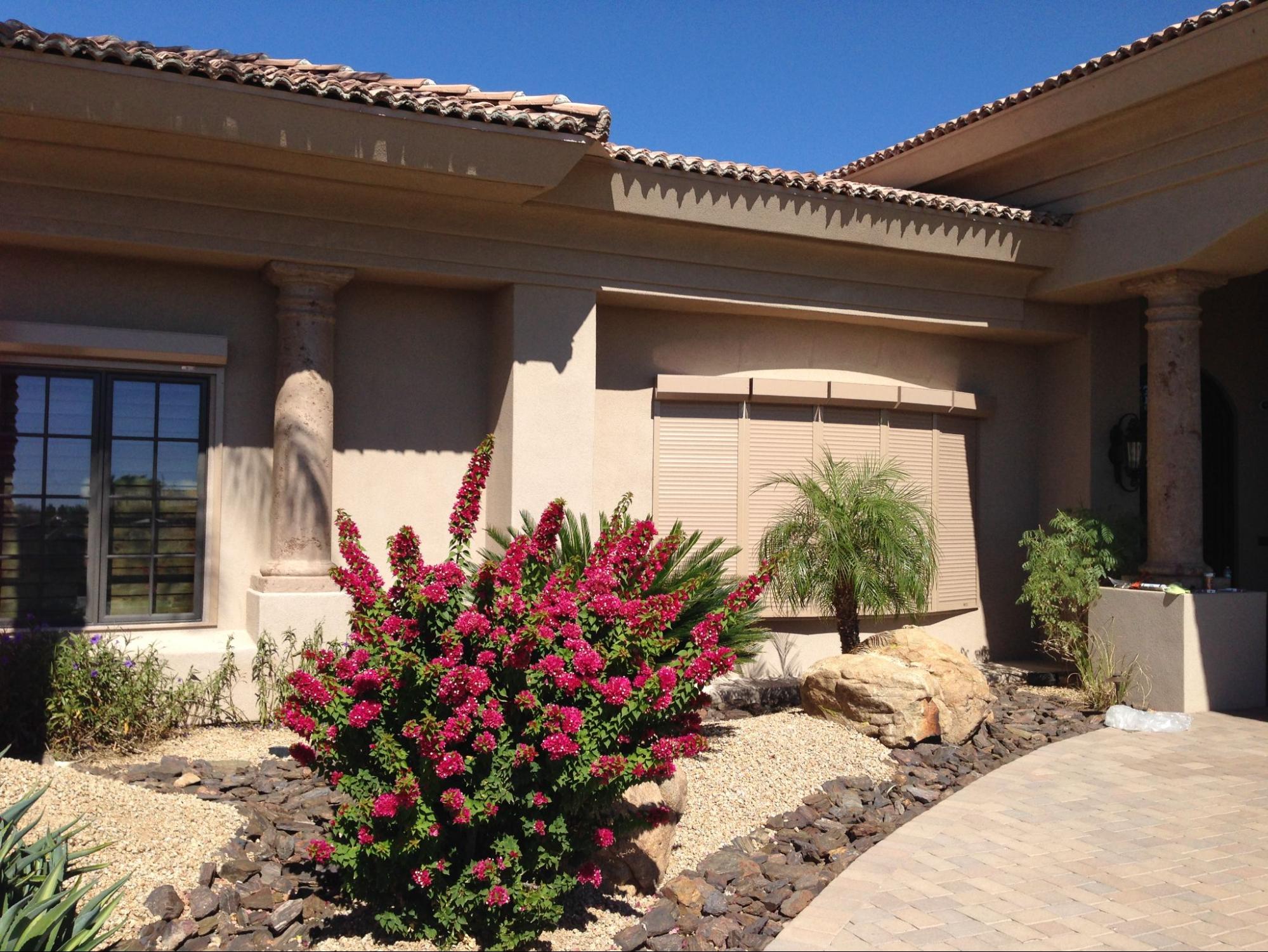 A charming home featuring a patio surrounded by well-maintained landscaping and vibrant greenery.
